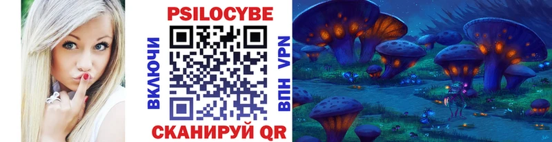 купить   Ува  KRAKEN tor  Галлюциногенные грибы GOLDEN TEACHER 